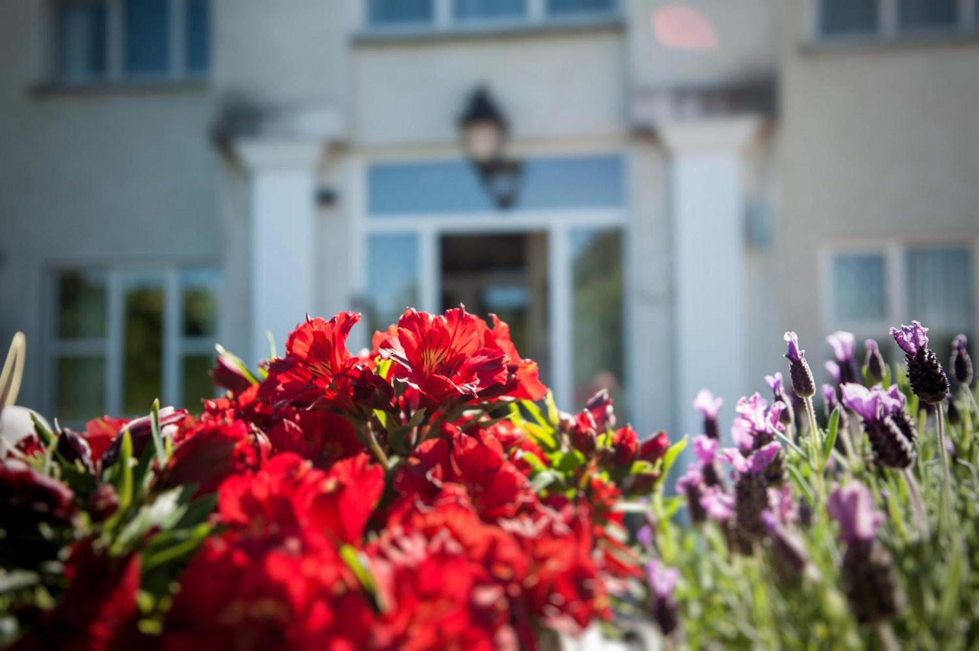 Grove House Bed & Breakfast Carlingford Zewnętrze zdjęcie
