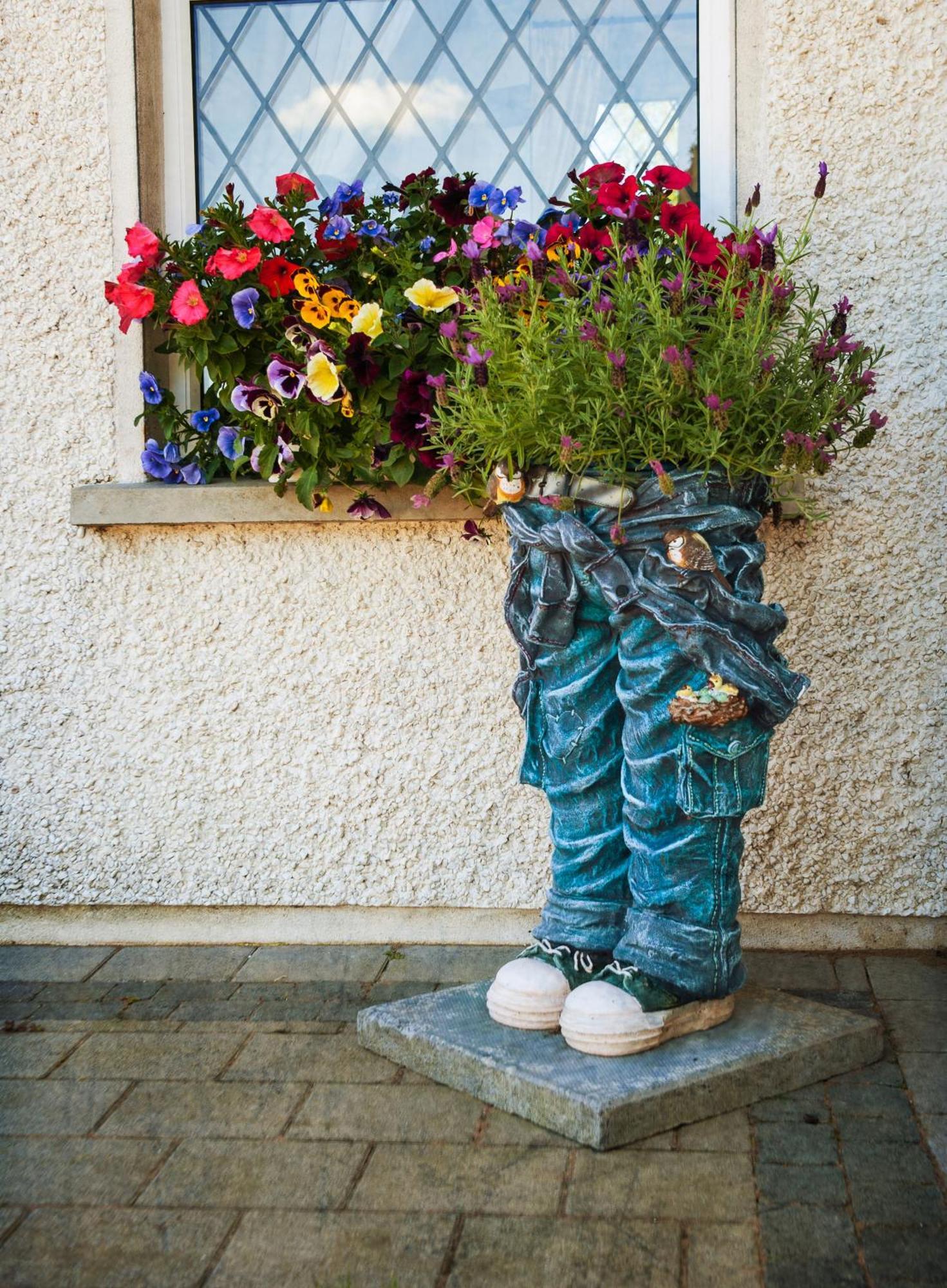 Grove House Bed & Breakfast Carlingford Zewnętrze zdjęcie