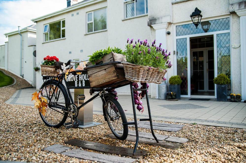 Grove House Bed & Breakfast Carlingford Zewnętrze zdjęcie