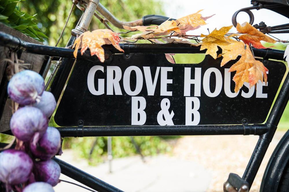 Grove House Bed & Breakfast Carlingford Zewnętrze zdjęcie